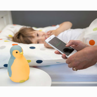 Zazu Sleeptrainer